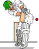 Cricket